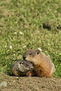BUITEN BEELD Foto: 132408