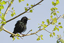 BUITEN BEELD Foto: 132464