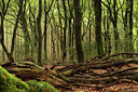 BUITEN BEELD Foto: 132591