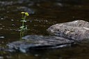BUITEN BEELD Foto: 132630