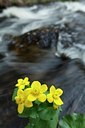 BUITEN BEELD Foto: 132632
