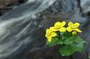 BUITEN BEELD Foto: 132633