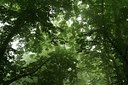 BUITEN BEELD Foto: 132673
