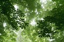 BUITEN BEELD Foto: 132674