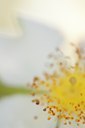 BUITEN BEELD Foto: 132750