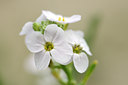 BUITEN BEELD Foto: 132786