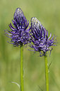 BUITEN BEELD Foto: 132806
