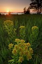 BUITEN BEELD Foto: 132884