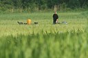 BUITEN BEELD Foto: 132938