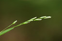 BUITEN BEELD Foto: 133116