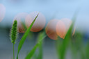 BUITEN BEELD Foto: 133121