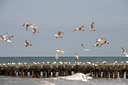 BUITEN BEELD Foto: 133153