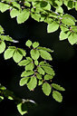 BUITEN BEELD Foto: 133174