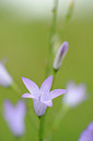 BUITEN BEELD Foto: 133186