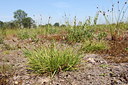 BUITEN BEELD Foto: 133270