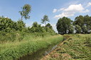 BUITEN BEELD Foto: 133275
