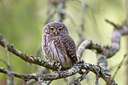 BUITEN BEELD Foto: 133370