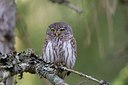 BUITEN BEELD Foto: 133372