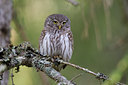 BUITEN BEELD Foto: 133374
