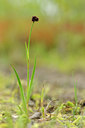 BUITEN BEELD Foto: 133417