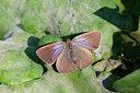 BUITEN BEELD Foto: 133483