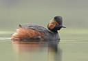 BUITEN BEELD Foto: 133524