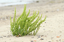 BUITEN BEELD Foto: 133559