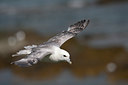 BUITEN BEELD Foto: 133593