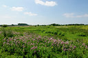 BUITEN BEELD Foto: 133716
