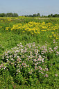BUITEN BEELD Foto: 133720