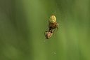 BUITEN BEELD Foto: 133742