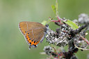 BUITEN BEELD Foto: 133792