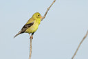 BUITEN BEELD Foto: 133799