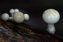 BUITEN BEELD Foto: 133866