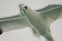 BUITEN BEELD Foto: 133969