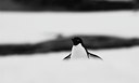 BUITEN BEELD Foto: 133975