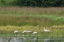 BUITEN BEELD Foto: 133995