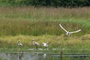 BUITEN BEELD Foto: 133996