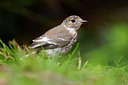 BUITEN BEELD Foto: 134007