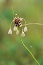 BUITEN BEELD Foto: 134081