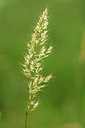 BUITEN BEELD Foto: 134083