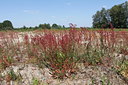 BUITEN BEELD Foto: 134274