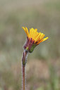 BUITEN BEELD Foto: 134276