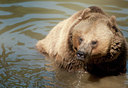 BUITEN BEELD Foto: 134301