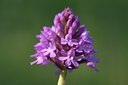 BUITEN BEELD Foto: 134327