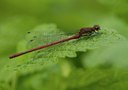 BUITEN BEELD Foto: 134375