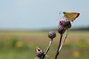 BUITEN BEELD Foto: 134491