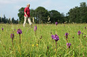 BUITEN BEELD Foto: 134492