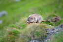 BUITEN BEELD Foto: 134650