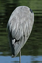 BUITEN BEELD Foto: 134702
